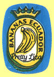 Pretty Liza Bananas Ecuador.jpg (9647 Byte)